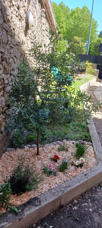 Le 9 De Cour, Chambre Caouette Carcassonne Buitenkant foto