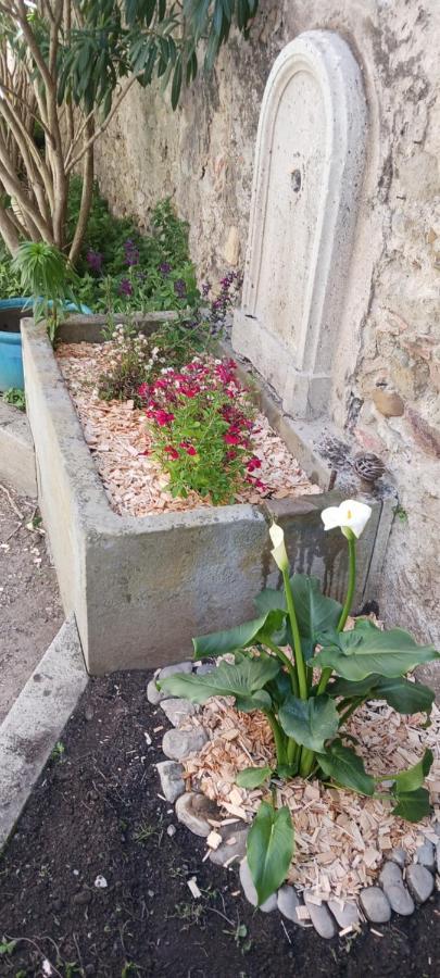 Le 9 De Cour, Chambre Caouette Carcassonne Buitenkant foto